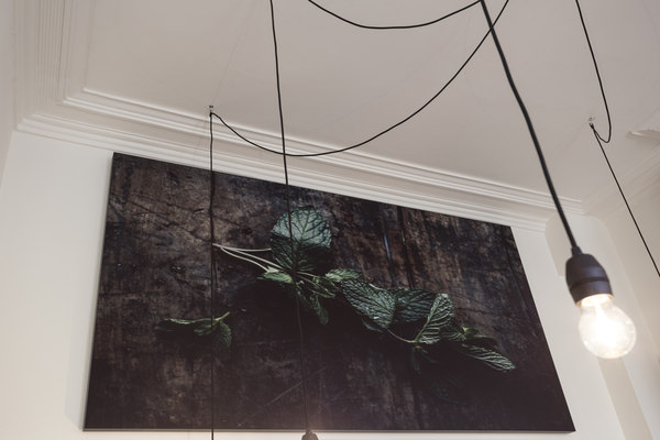 COUSTpanel with the picture of a plant