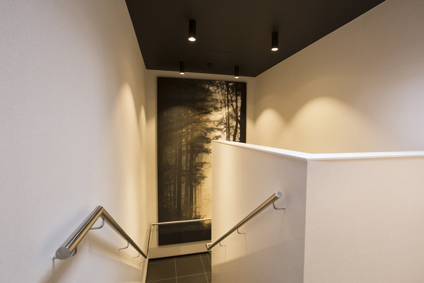 COUSTwall with print in staircase
